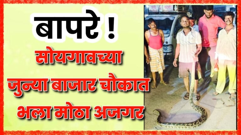 बापरे ! सोयगावच्या जुन्या बाजार चौकात भला मोठा अजगर